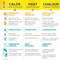 Previsão de Temperaturas Elevadas - Recomendações da Direção-Geral de Saúde