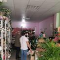 Distribuição de viseiras por comerciantes locais