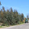 Limpeza de bermas e regularização de caminhos 