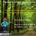 Candidatura a Vigilante da Floresta || De 1 de março a 26 de abril de 2020