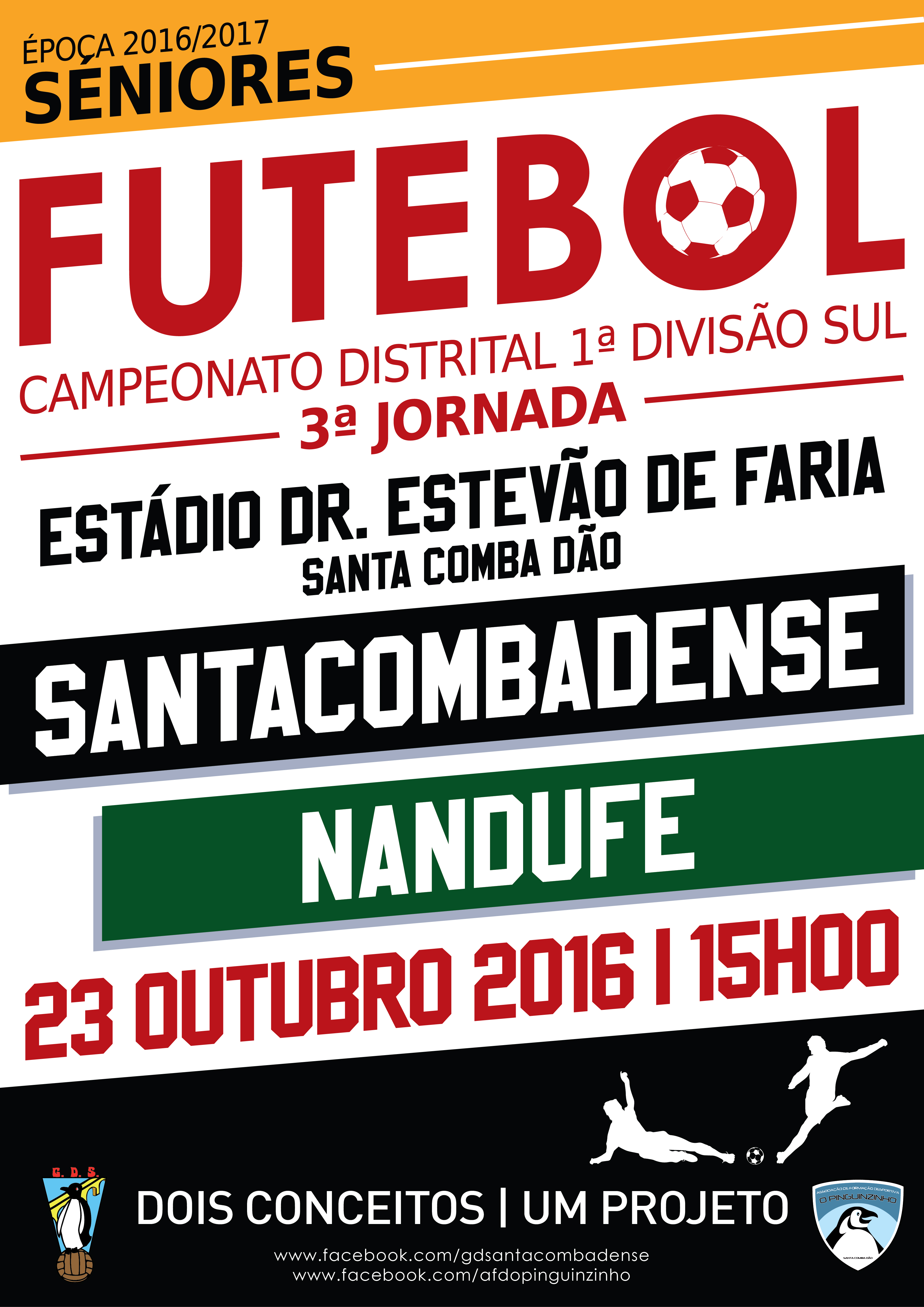 cartaz jornada3 nandufe 01