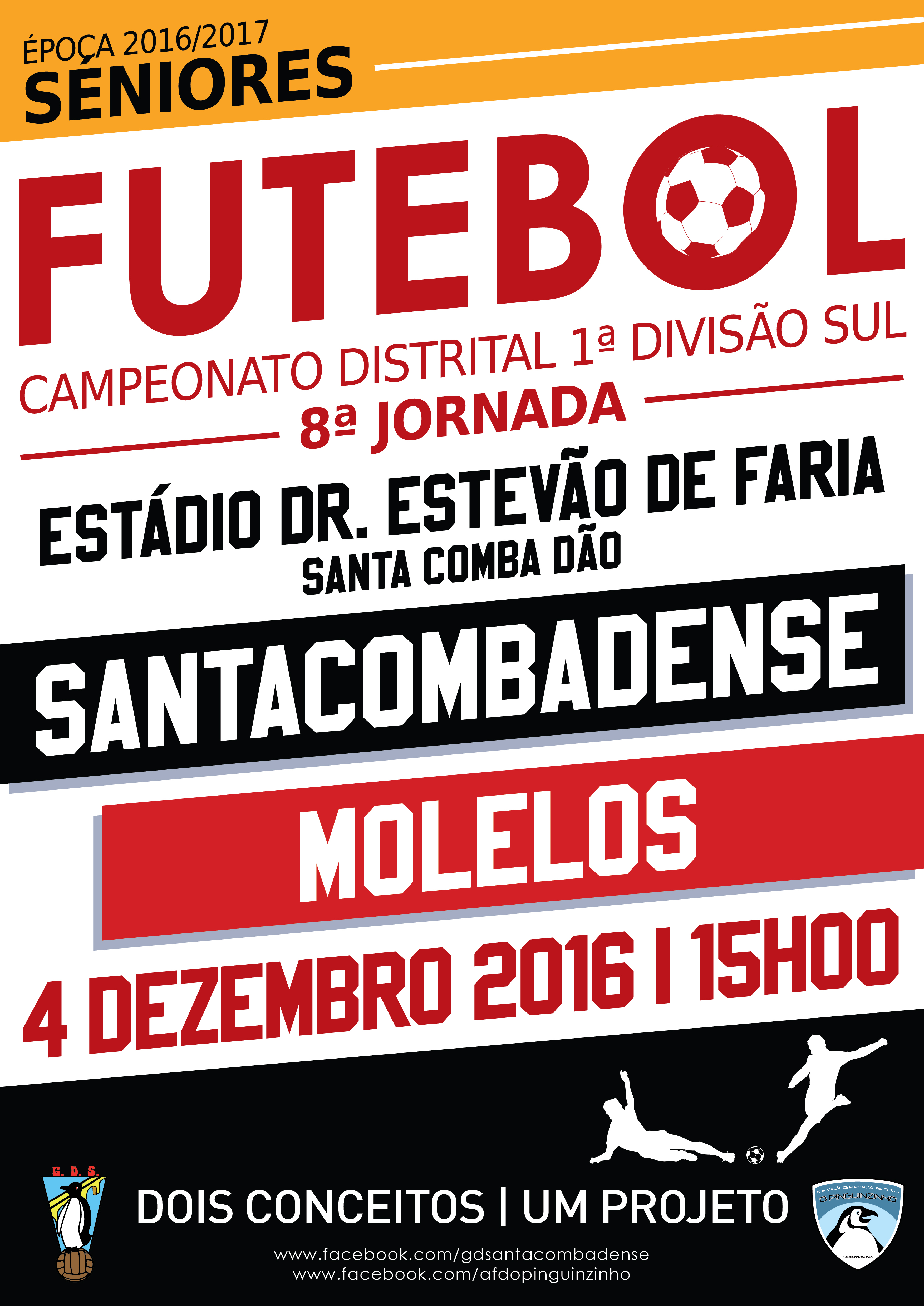 cartaz jornada8 molelos 01