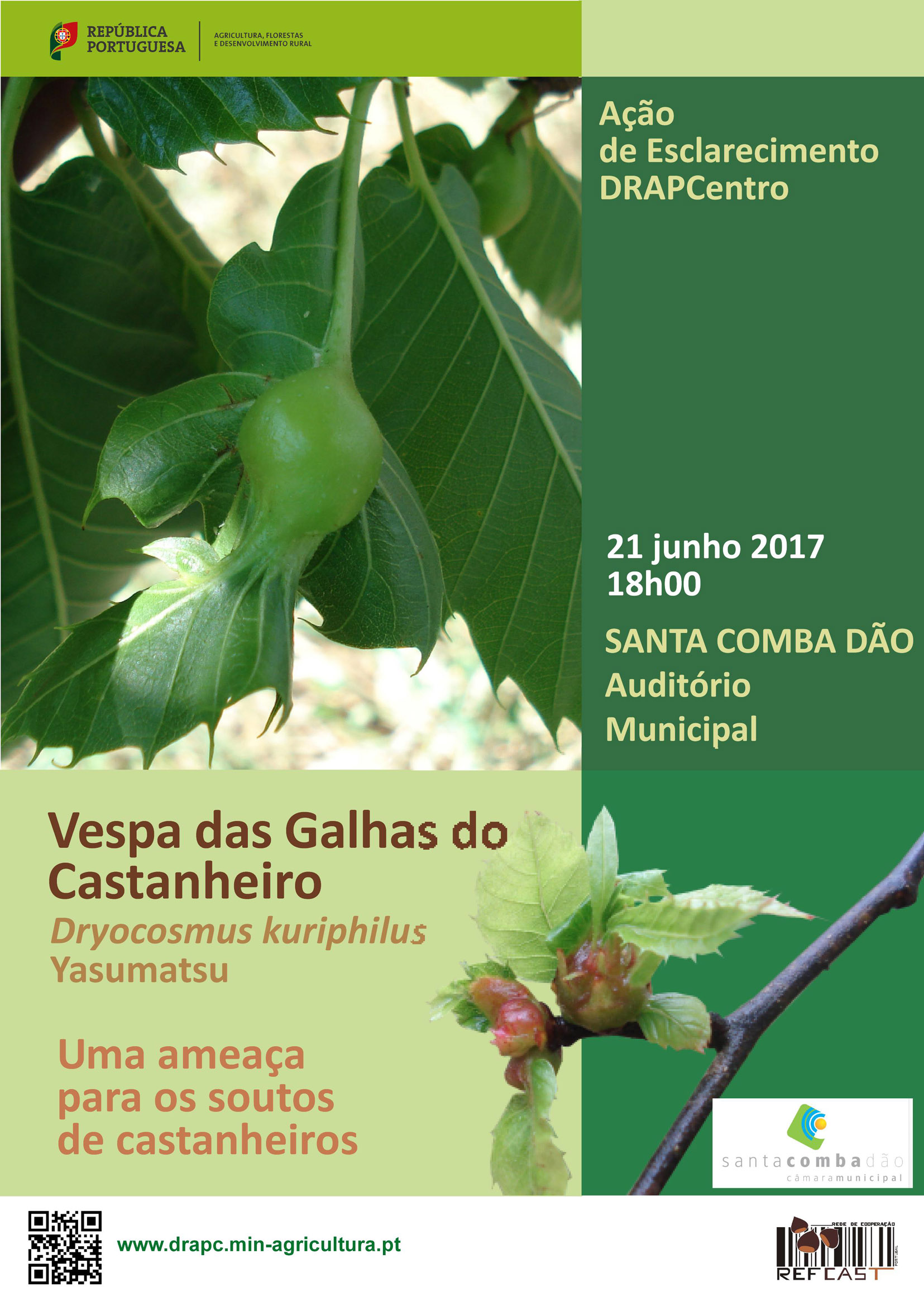 Galha Santa Comba Dão 2017