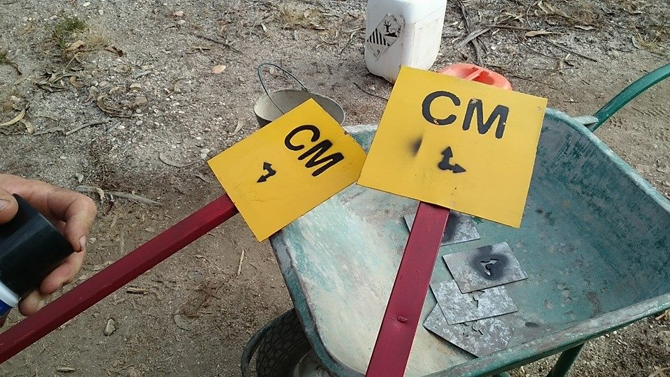 informação cmscd 02