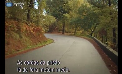 Sem título 2