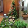 Natal na Biblioteca