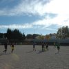 magusto_proficademus_003