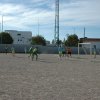 magusto_proficademus_009
