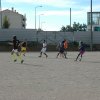 magusto_proficademus_017