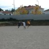 magusto_proficademus_027